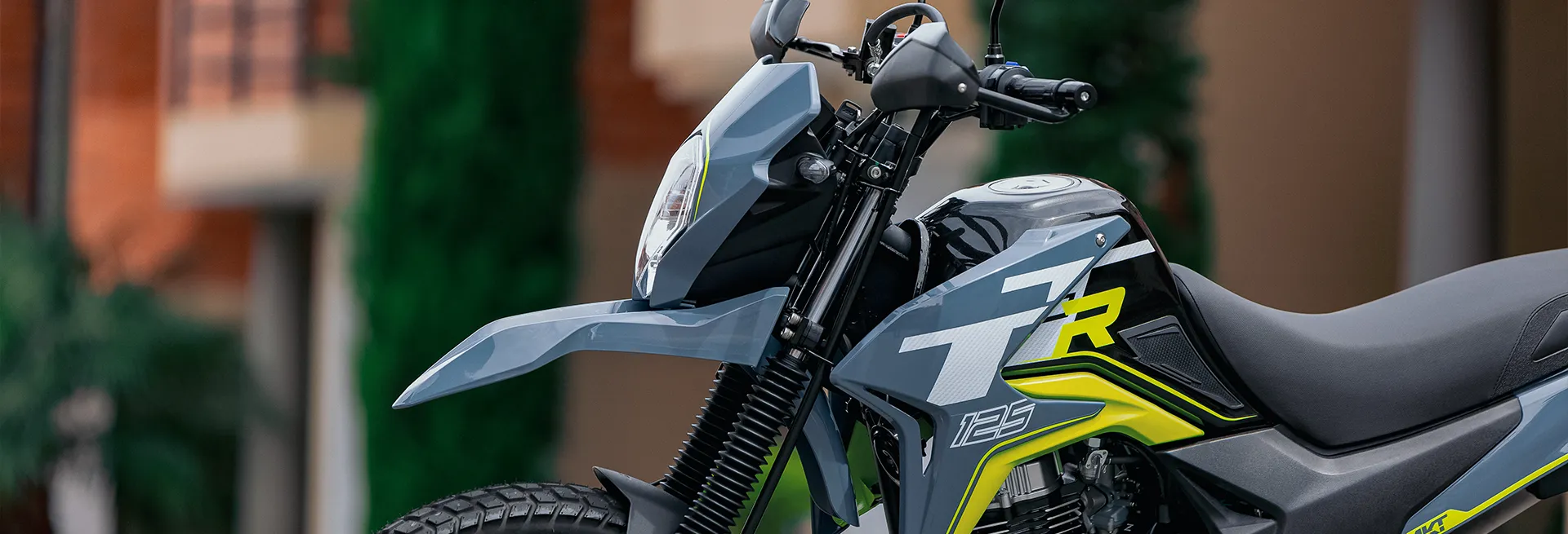 TTR 125 Edición Especial - AKT Motos